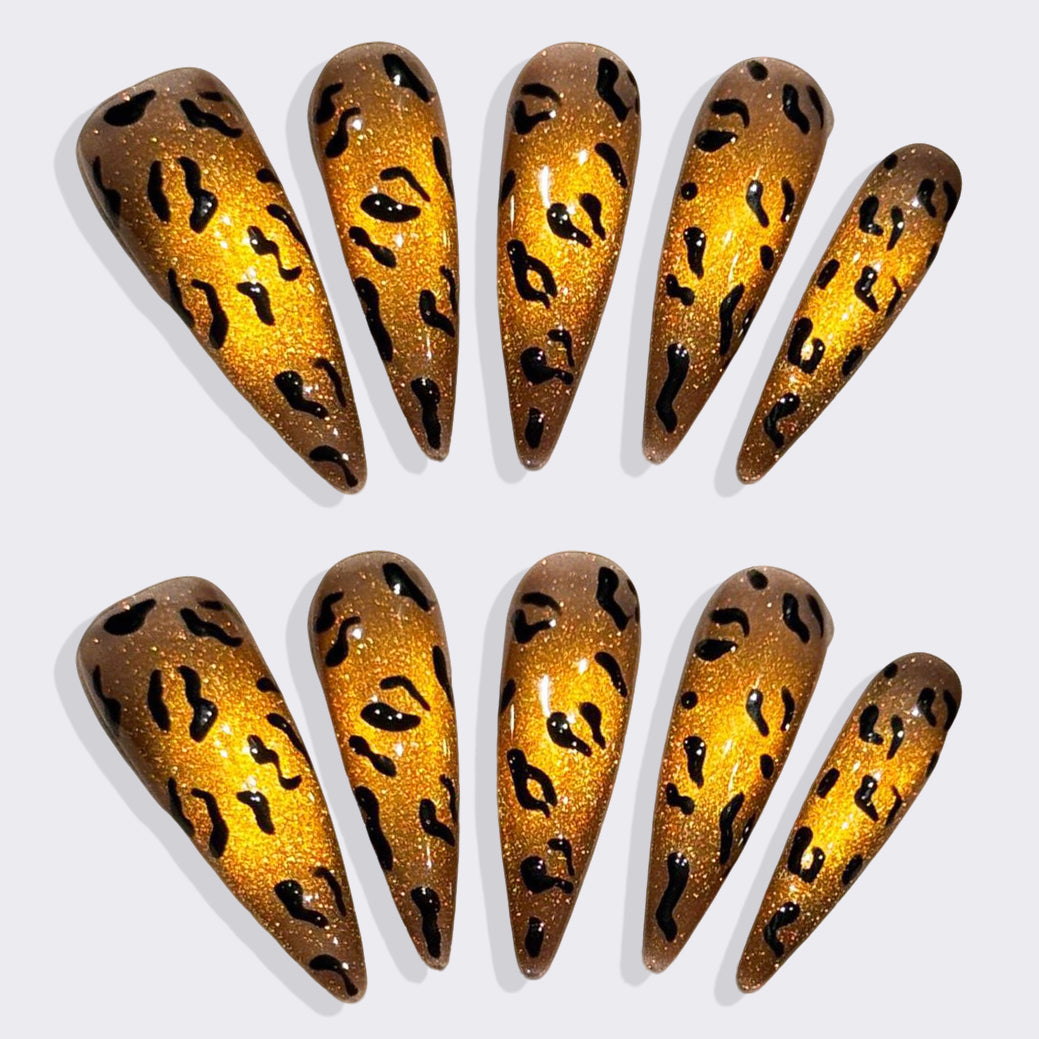 Safari Sparkle