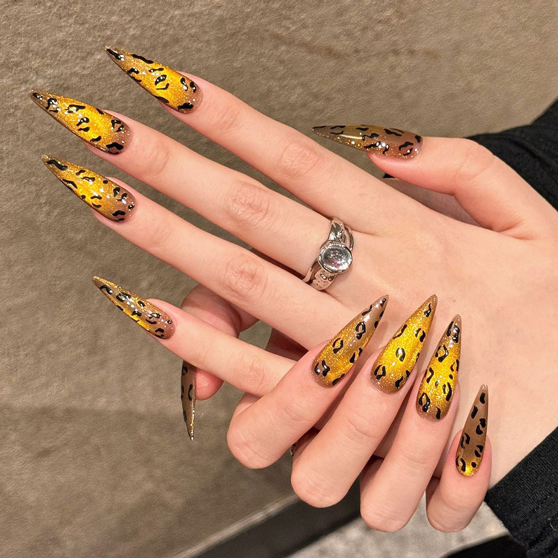 Safari Sparkle